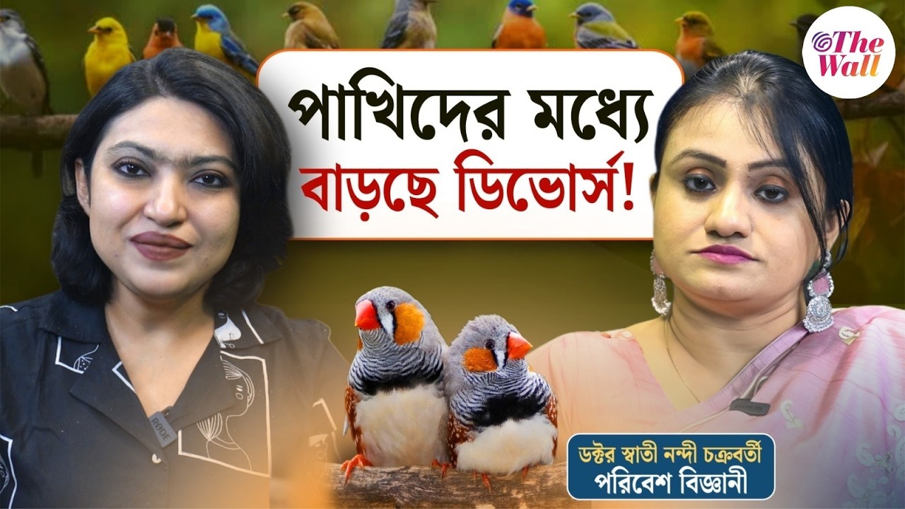 Air Pollution | Divorce between Birds | গাছের গায়ে আলো লাগিয়ে শহর সাজানোর হিড়িকে বিপন্ন পাখিরা