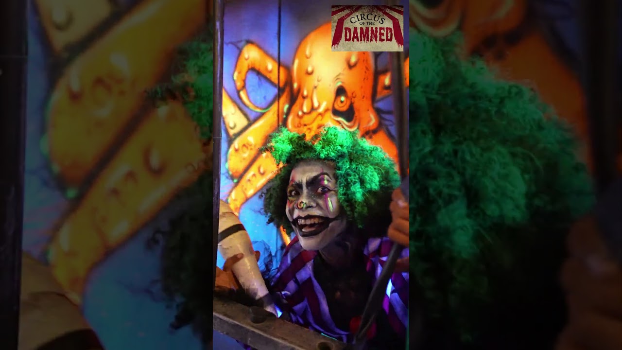 Haunted Houses of Howl-o-Scream 2025 San Diego Sea World