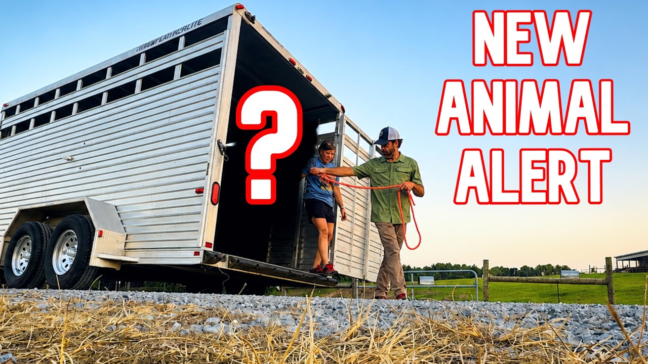We Got a NEW Animal On The Farm! (Plus a Moody Update)