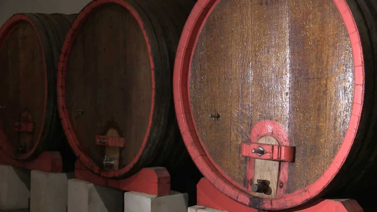 VENDANGES AU CLOS DES PAPES by LOTEL DU VIN