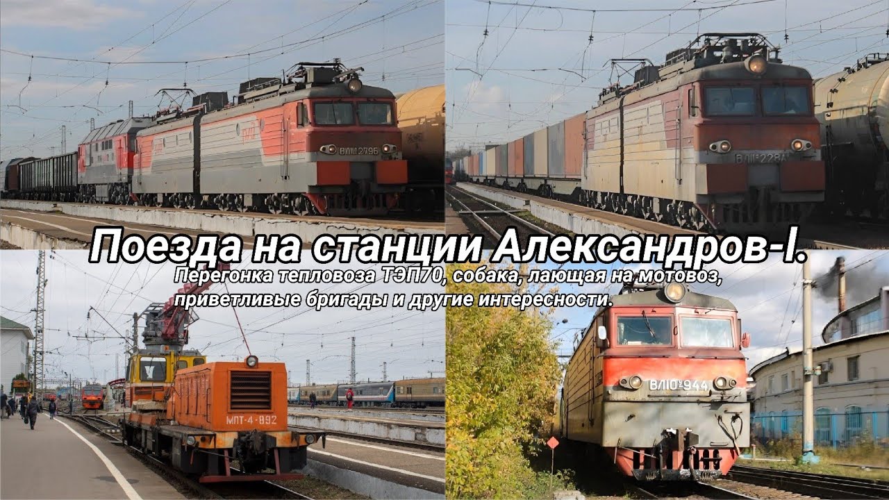 Перегонка тепловоза ТЭП70, собака, лающая на мотовоз и другие интересности на станции Александров-l.