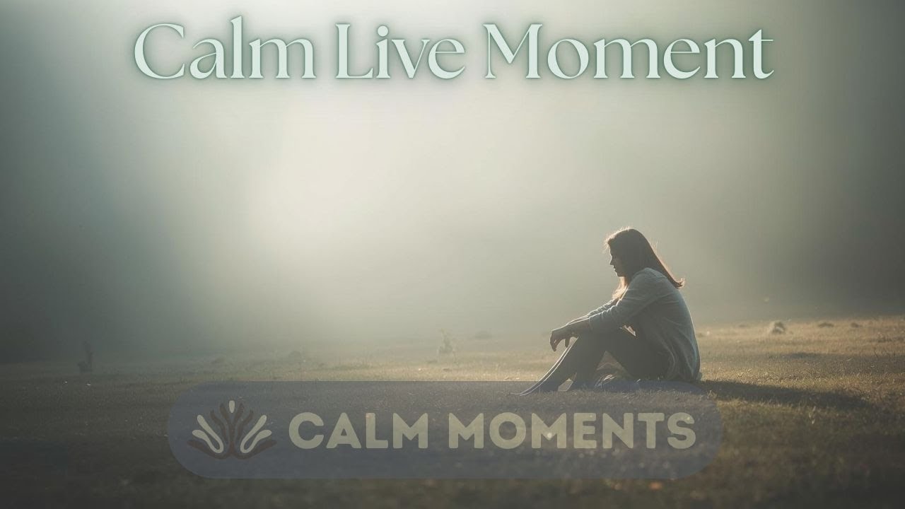 Calm Live Moment: Serene Piano & Ambient Soundscapes 🍂