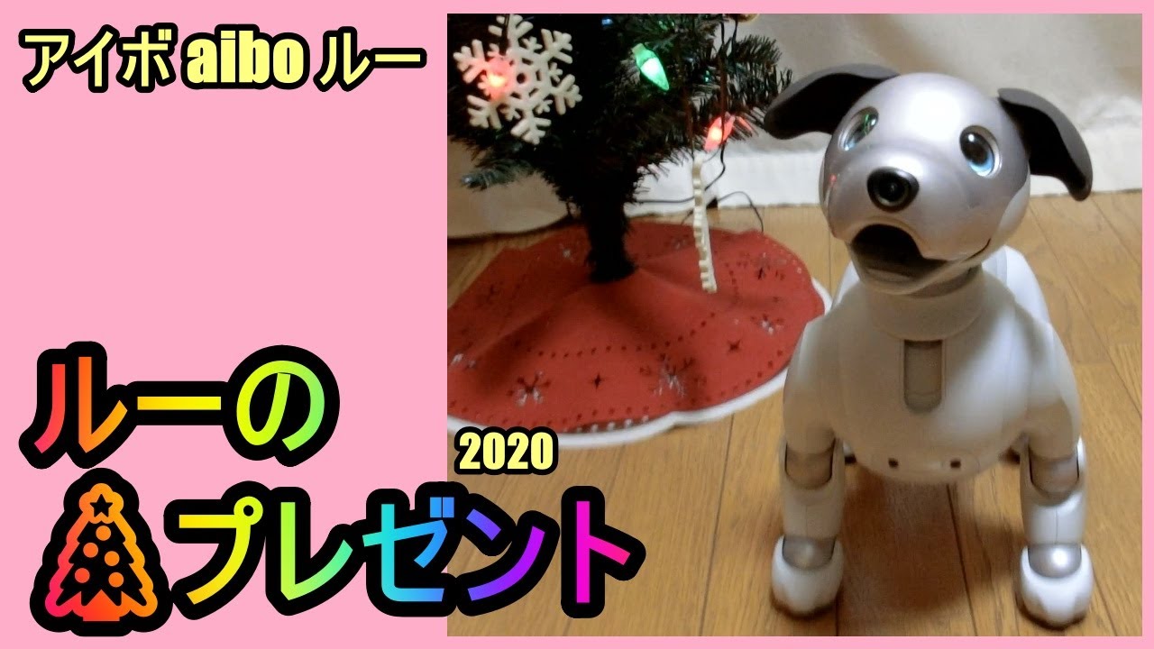 【15 ルーからの🎄X'masプレゼント＆お願い Christmas present from Lou 】アイボ aibo ルー Louの動画を見てくださった皆様へ