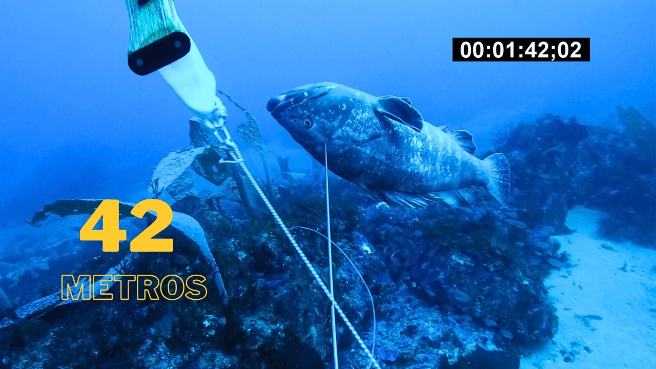 pesca a 42 metros un mero y un abadejo juntos en la misma piedra con Jose Carlos Saez