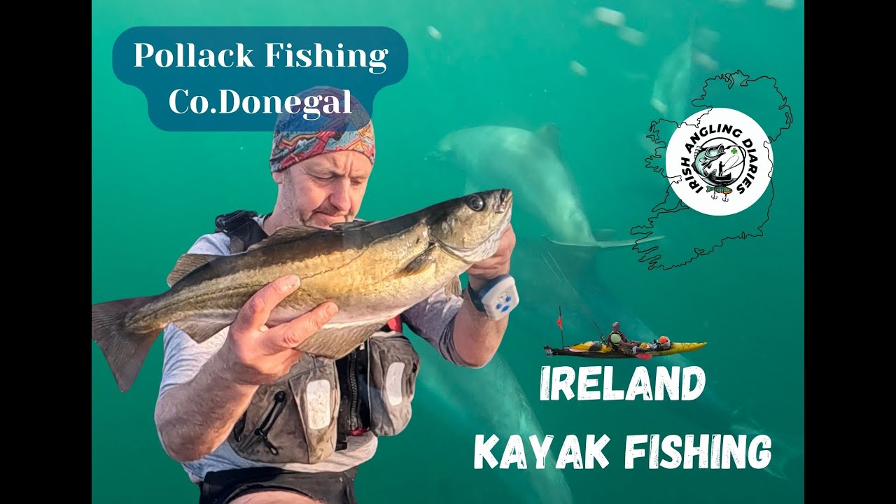 Donegal Pollack | Kayak Fishing | Dolphins | Irish Angling Diaries #12
