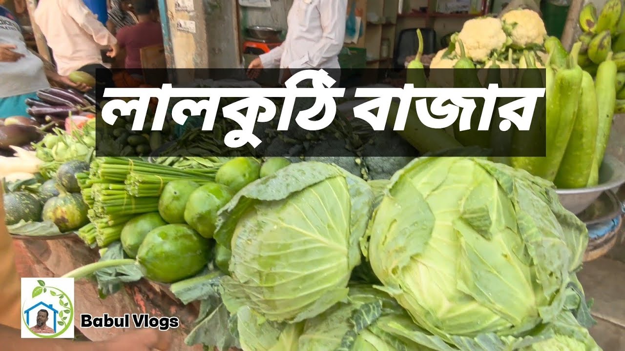 লালকুঠি বাজারে কি কতো দামে বিক্রি হয় দেখুন। Lalkuthi Bazar।Vloging।