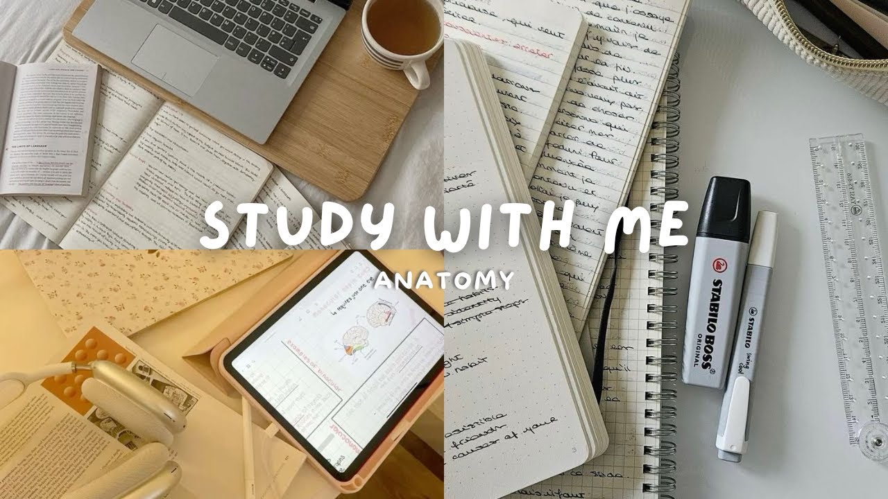 STUDY WITH ME  🎀  I 1 hour of anatomy 🦴🐮