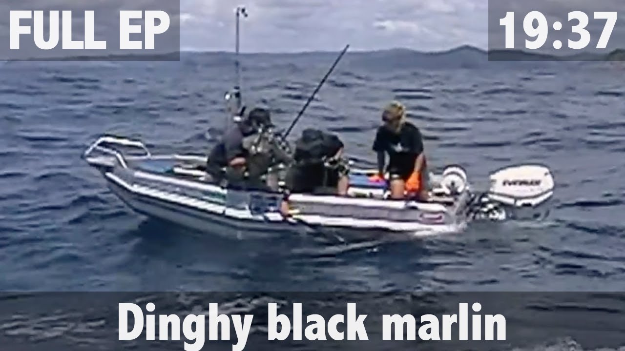 500lb Black Marlin from a Dinghy