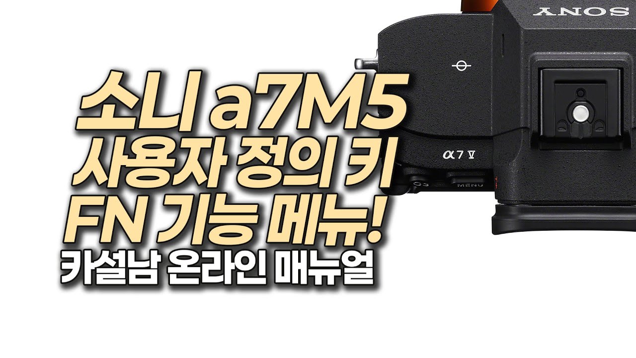소니 a7M5 사용자 정의 키 설정 & FN 기능 메뉴 | 소니 온라인 매뉴얼