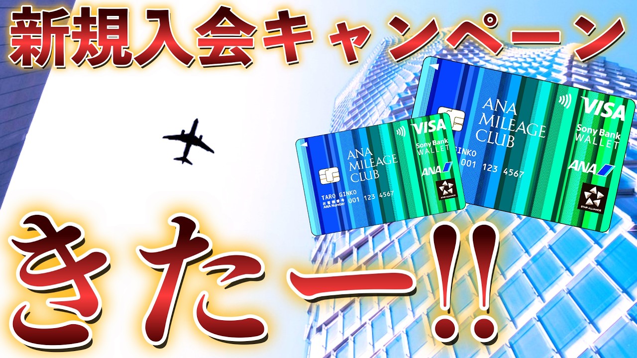 ANAソニーバンクウォレット新規入会キャンペーンきたー❗️❗️