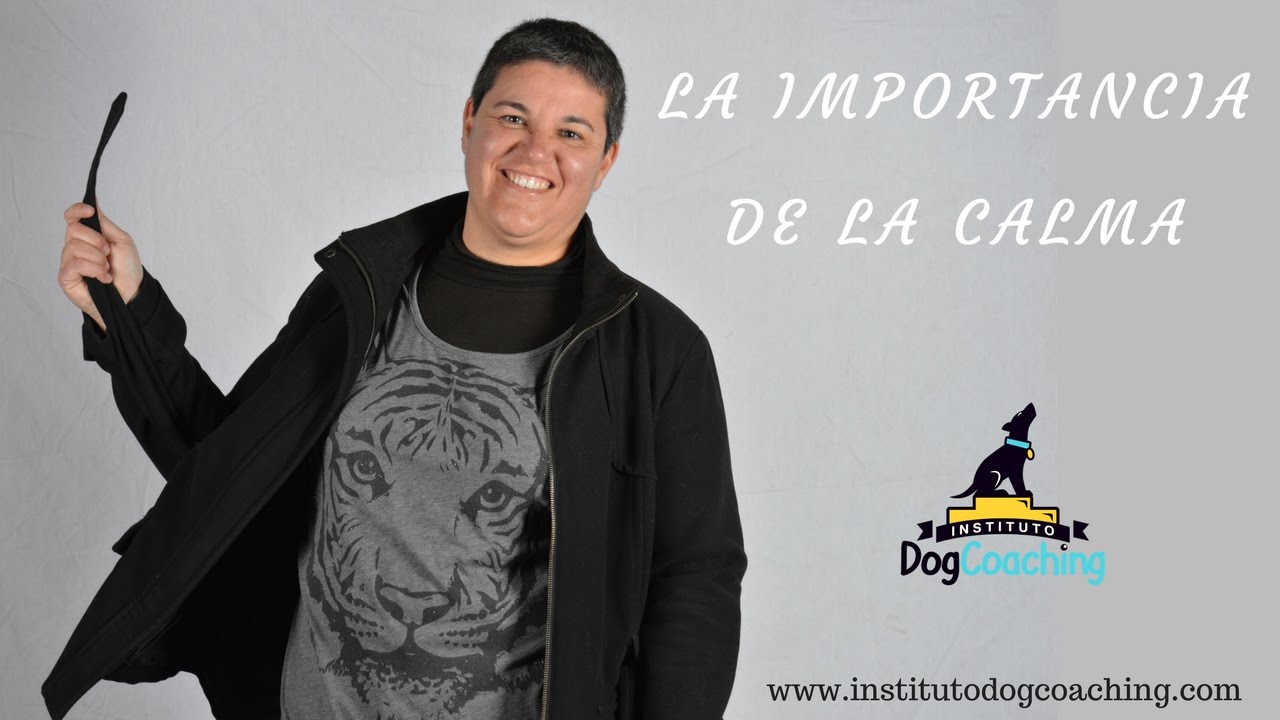La importancia de la calma en los perros