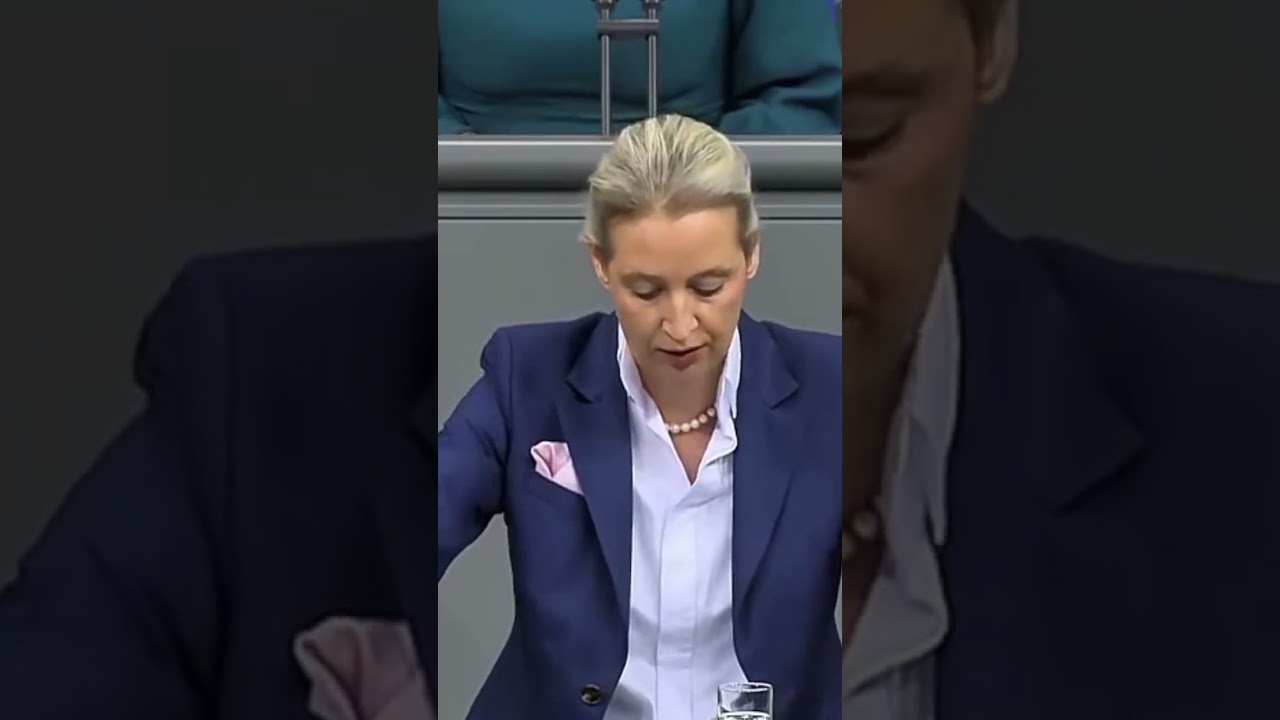Alice Weidel(Вайдель) критикует Зеленского! #music