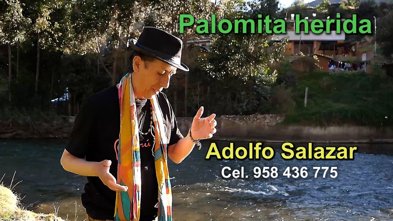 PALOMITA HERIDA. DR. / Adolfo Salazar