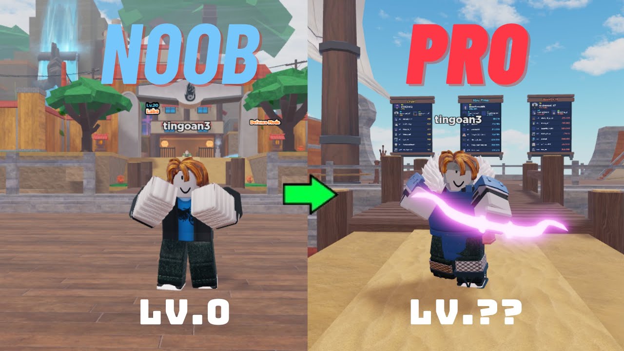 Noob To Pro IN ANIME DUNGEON FIGHTERS!