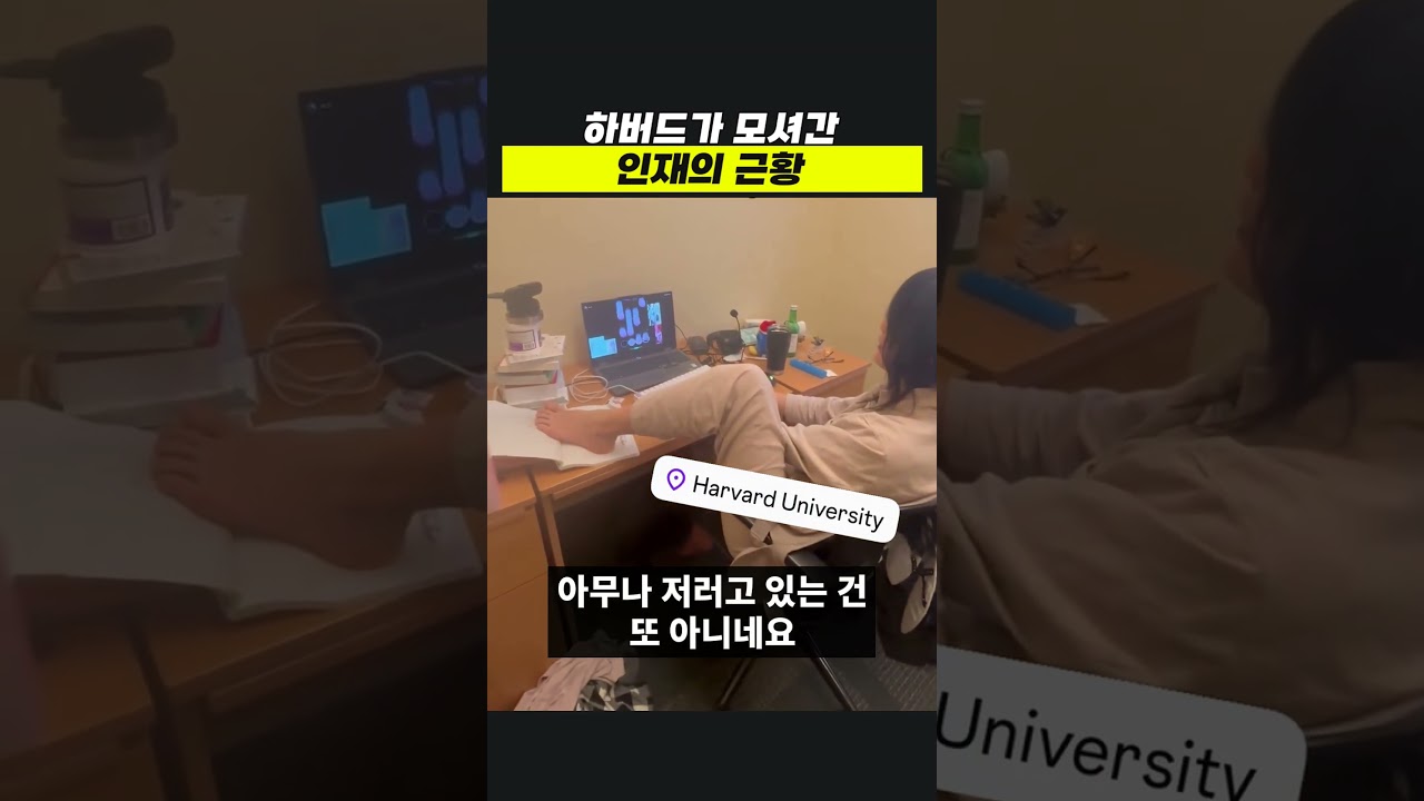 하버드가 모셔간 인재의 근황