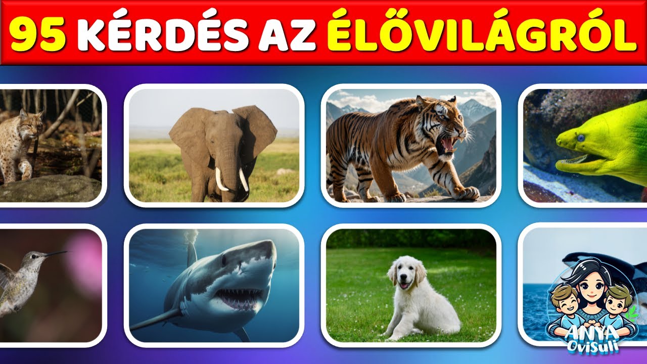 Élővilág kvíz válogatás #gyerekeknek,Tanuljuk meg az #állatok,#növények  nevét játékosan🦈🦌🐅🐍