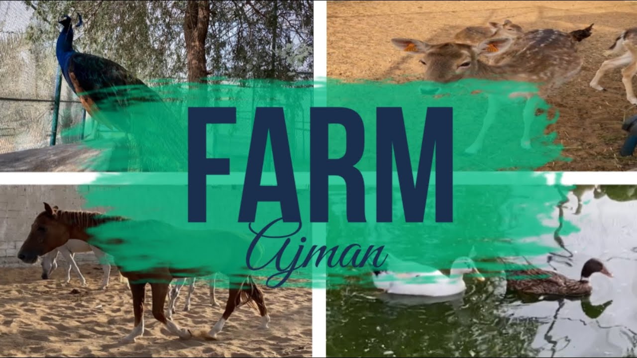 Ajman Farm in 4k (Ultra HD)