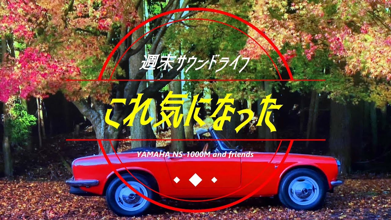 【これ気になった】グレースの履歴　曲名が？