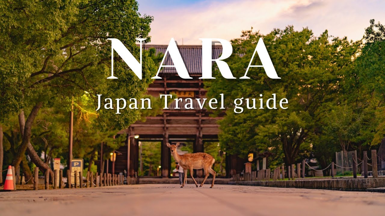 Top 5 Things to Do in Nara, Japan | Travel Guide