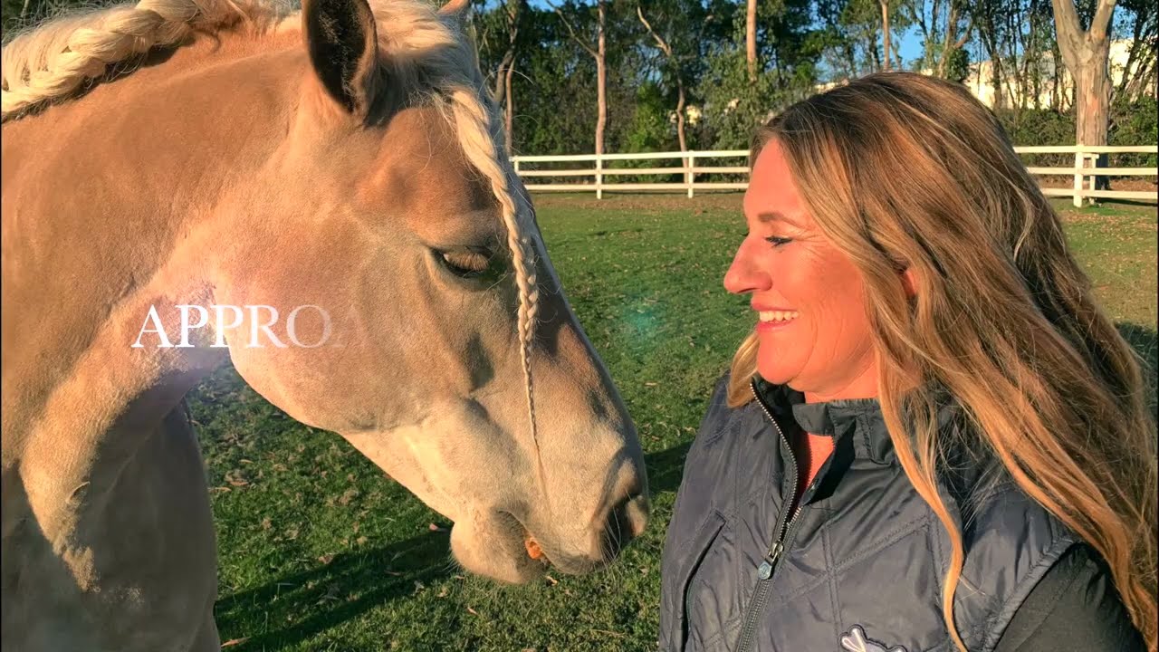 HORSE RIDING BASICS - 03 - Basic Safety Rules #horse #horses #horsegirl #horserider #horselover