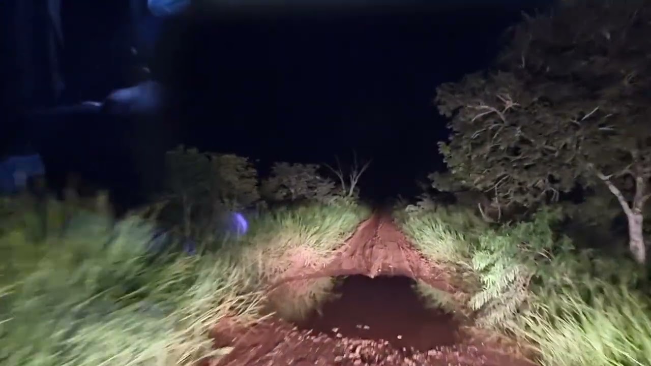 Caroba nioaque entrega a noite