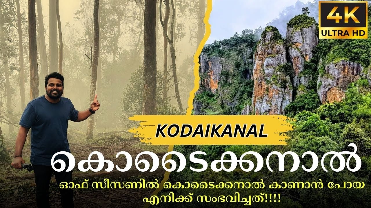കൊടൈക്കനാൽ ഇങ്ങനെ ഒരു അനുഭവം പ്രതീക്ഷിച്ചില്ല || 10 Must Visit Tourist Places in KODAIKANAL 😲😲😲
