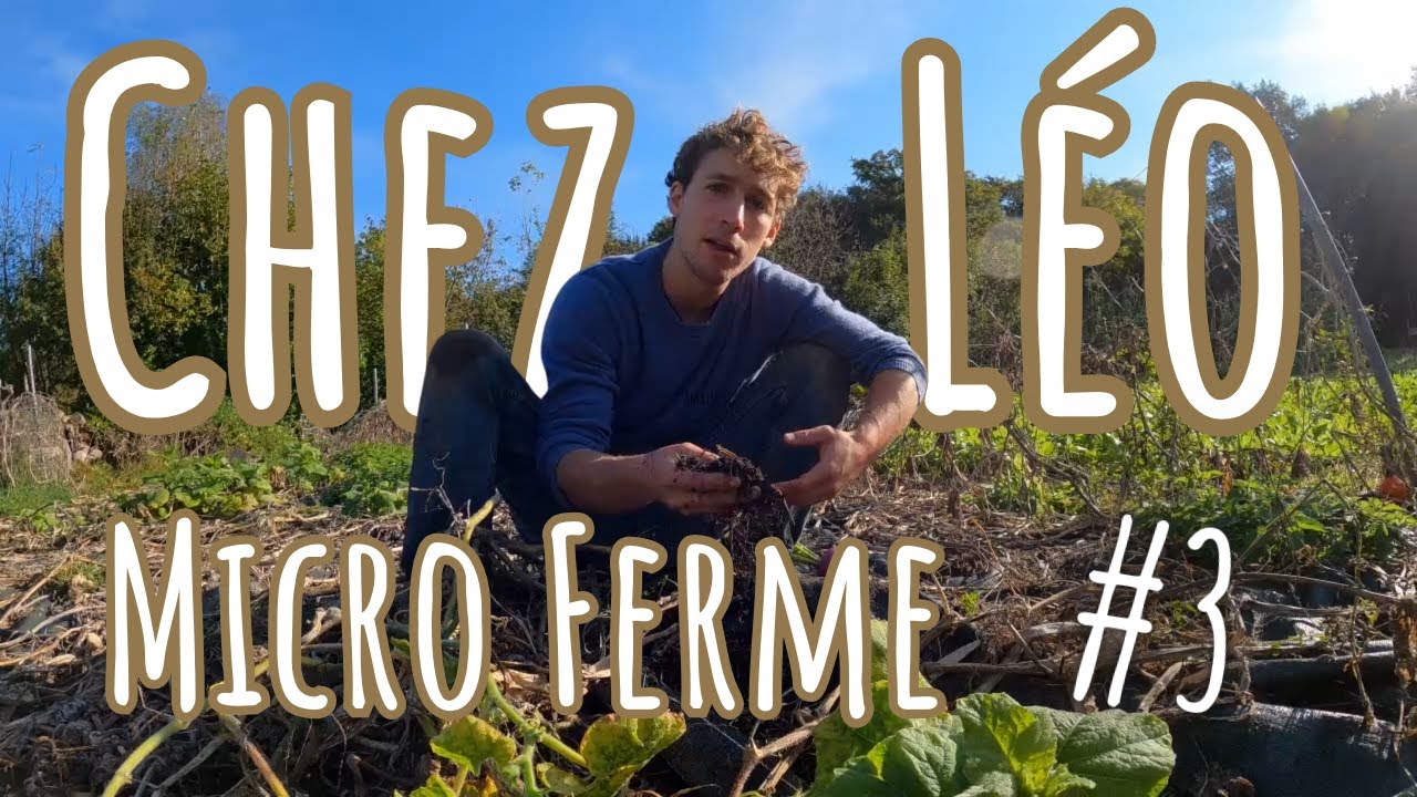 #3 : Microferme en permaculture avec : ⁨@leodrevet7610. #permaculture