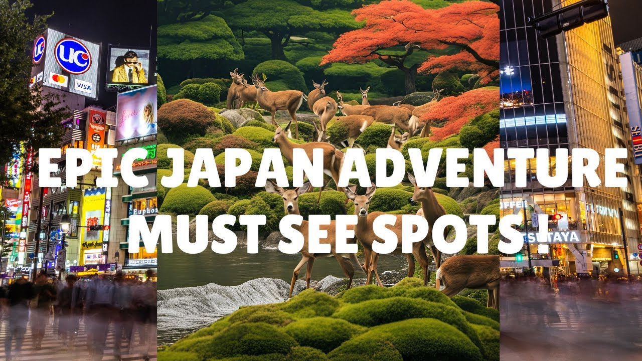 Epic Japan Adventure  Must See Spots!