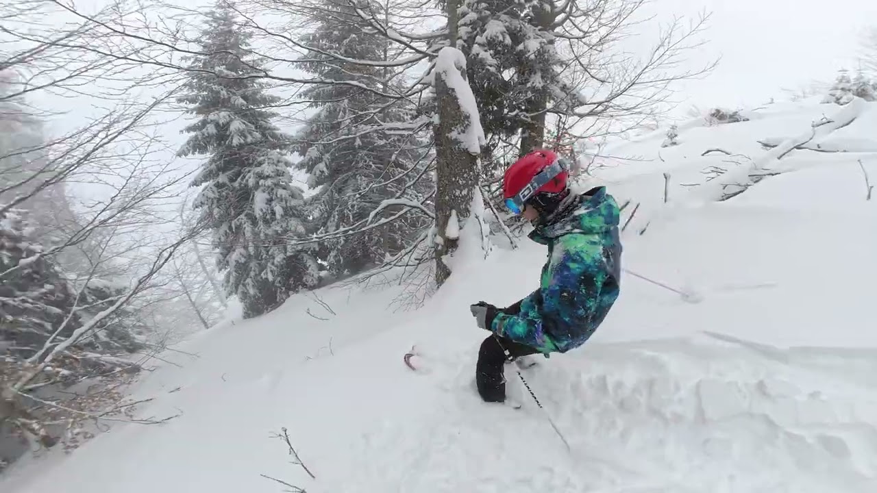 POWDER DAY| POIANA BRASOV