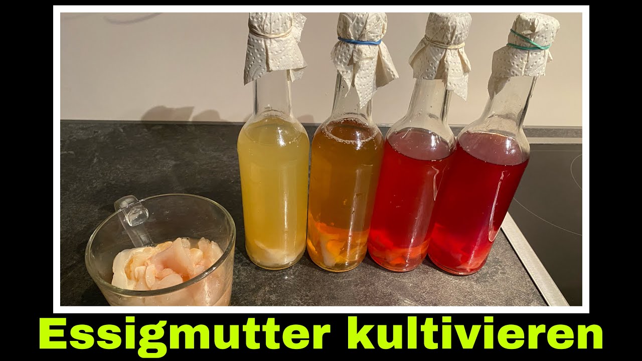 Essigmutter weiterverwenden und neuen Essig herstellen | Selbstversorgung: Fruchtessig