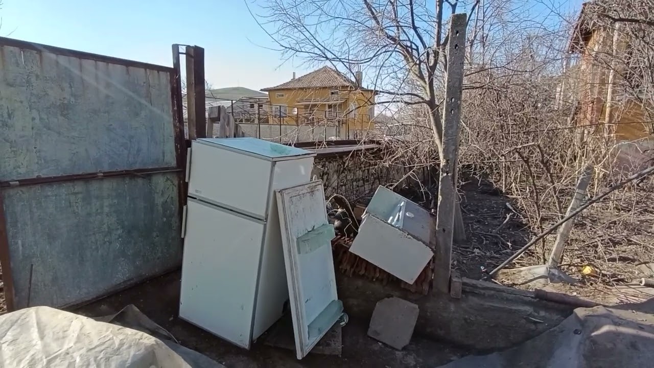 Разсад стари селски сортове розов и червен домат за Вас