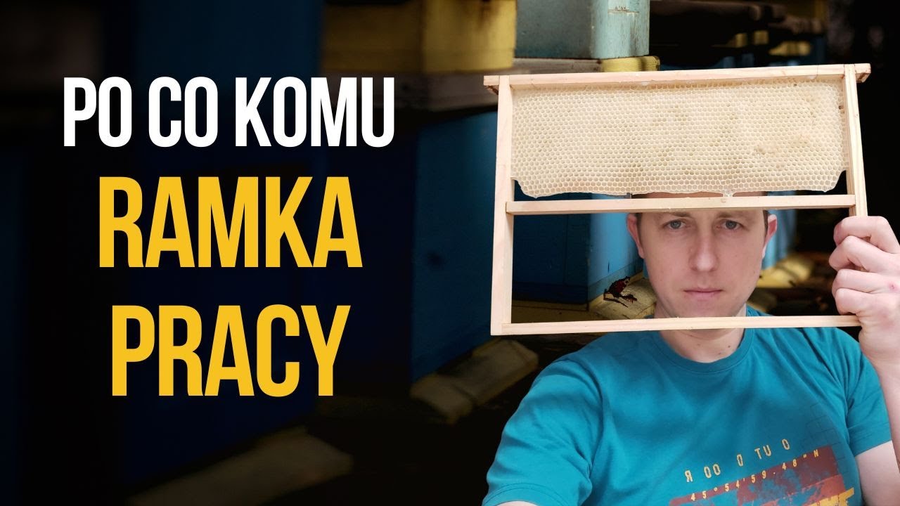 Po co stosować ramkę pracy?