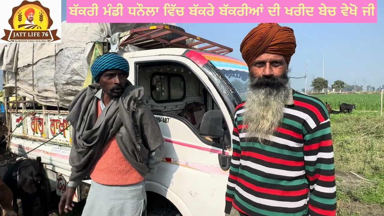 Dhanula Bakery 🐐Mandi 4-2-26 Di    ਧਨੌਲਾ ਬੱਕਰਾ ਮੰਡੀ ਦੇ ਸੋਦੇ ਵੇਖੋ ਜੀ ਚੈਨਲ ਨੂੰ ਸਬਸਕਰੈਬ ਜਰੂਰ ਕਰਨਾ ਜੀ 🤙