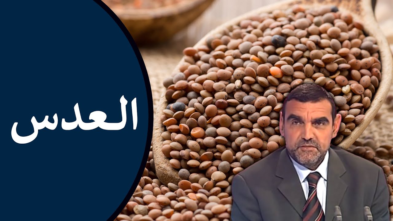 🔸 العدس 🍛 بروتين الفقراء بفوائد مذهلة لصحة الجسم! 🍃 د. محمد الفايد #نخل_ورمان_ملخص