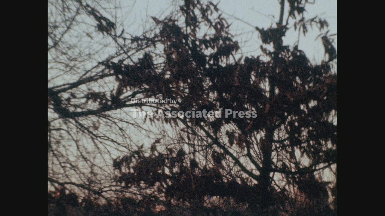 News Item (6b370068-7b94-5a0e-1ded-9d1490d2ec32)