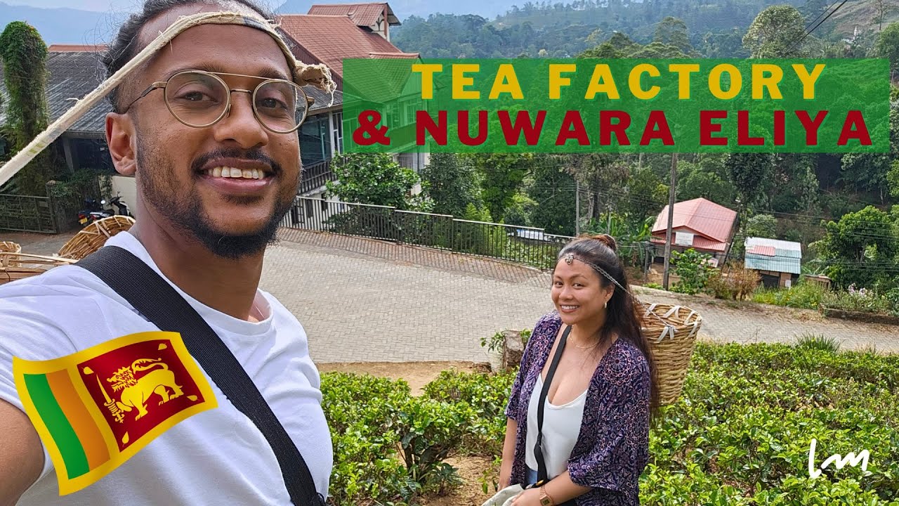 Glenloch Tea Factory & our time in Nuwara Eliya 🇱🇰