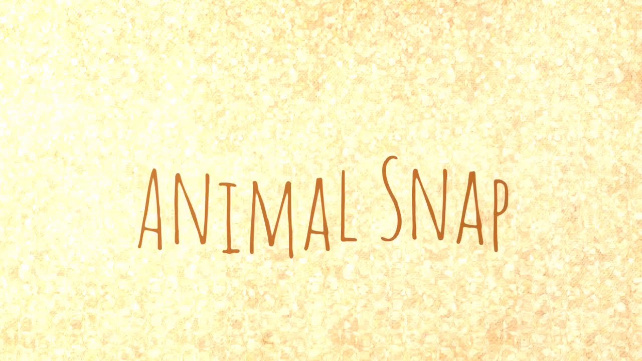 Animal Snap Game- I am Me Movement NI &UK