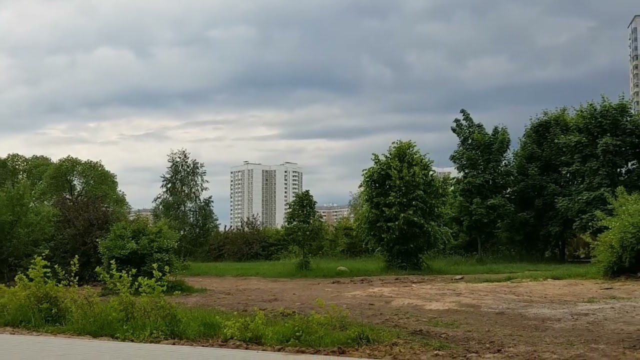 ВСЯ МУДРОСТЬ В ПРИРОДЕ... (с) Инга Хосроева. Ведьмина изба #природа #мудрость