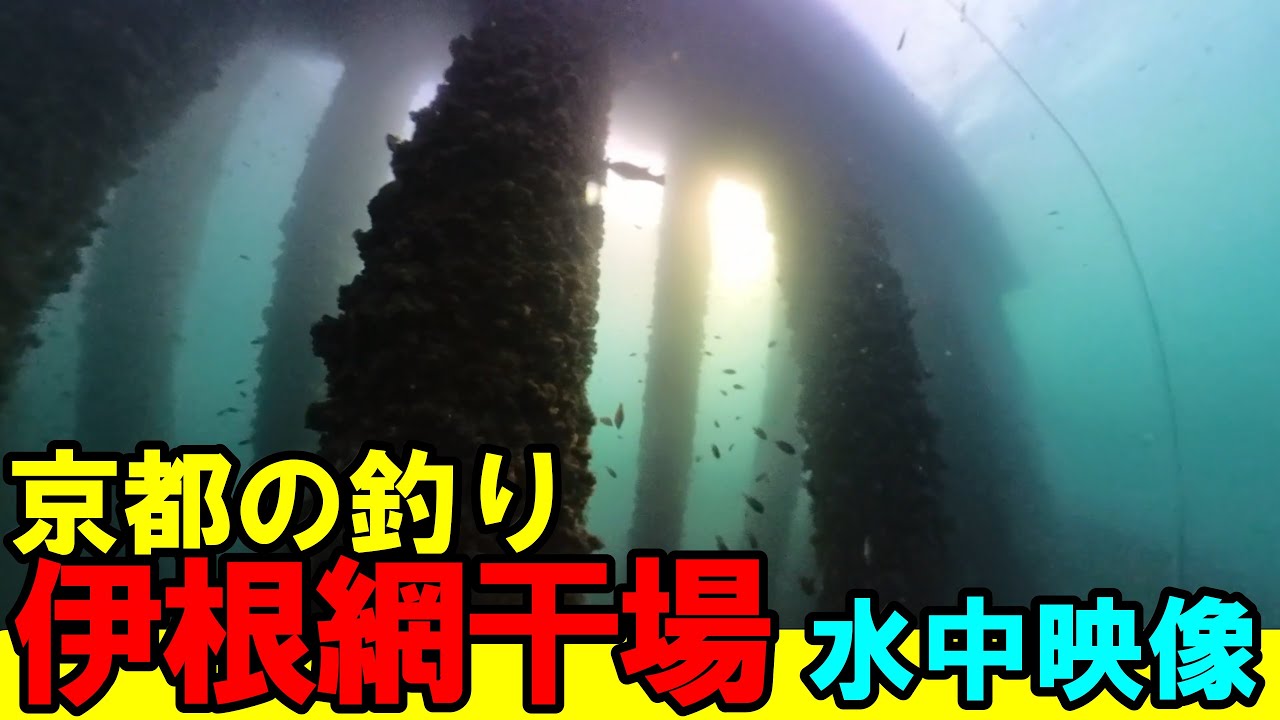 「伊根網干場の釣り場を探索！水中映像で地形や魚の動きが分かる！」