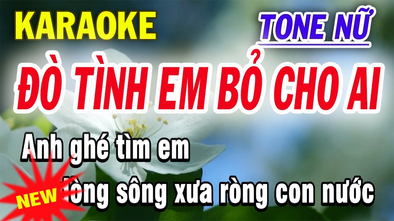 Đò Tình Em Bỏ Cho Ai Karaoke Tone Nữ - ST Dy Lady