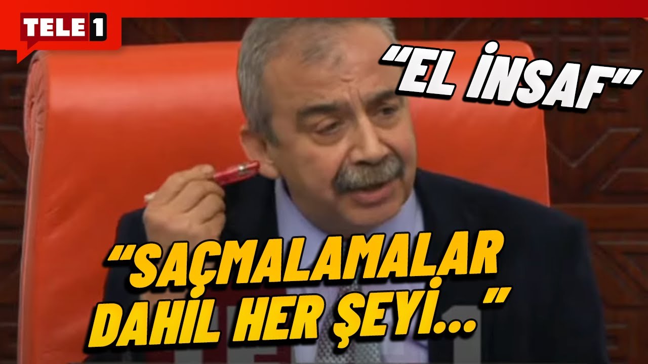 Sırrı Süreyya Önder'i bıktırdılar Tanal'a patladı: Ya bir dur Mahmut ya...