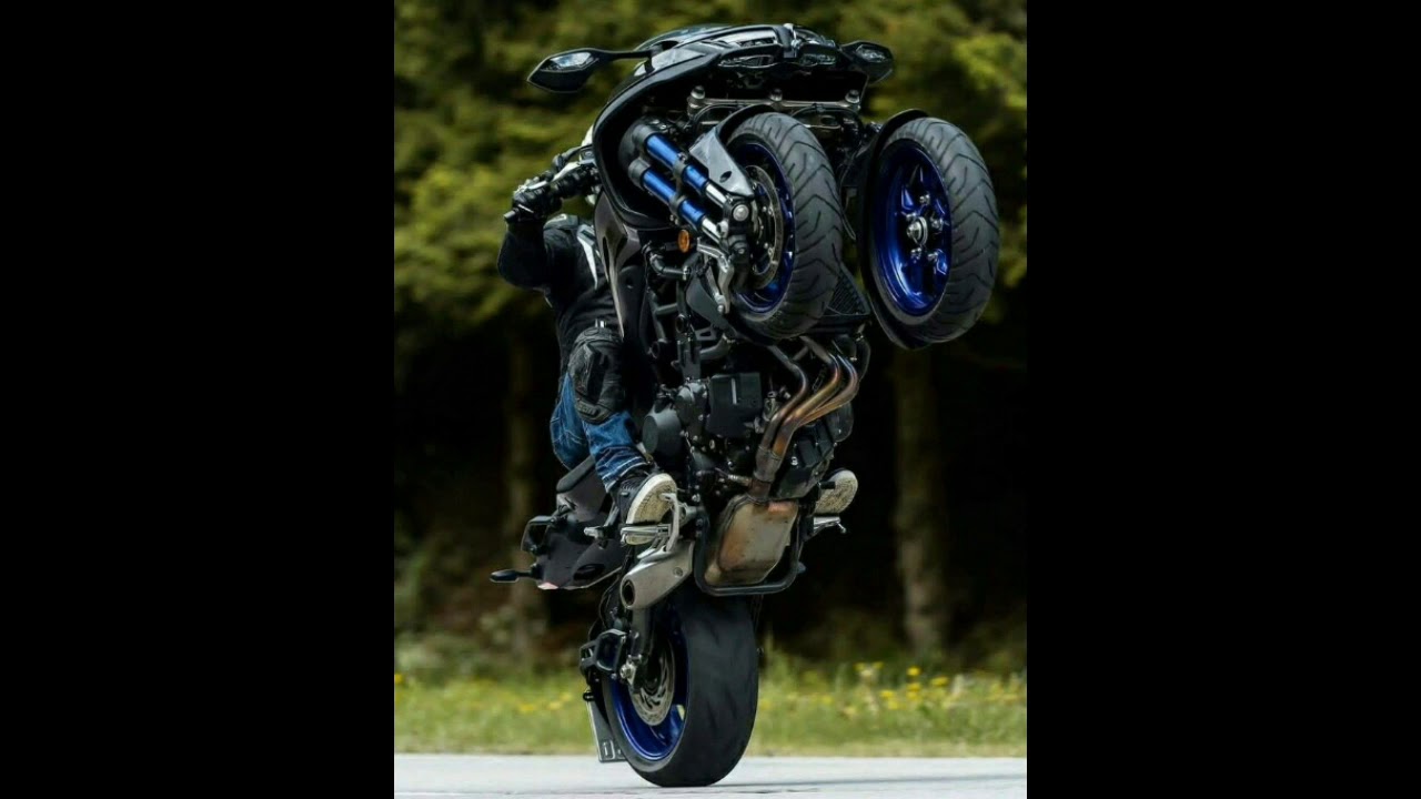 molinari - MOTOCYKLIZM