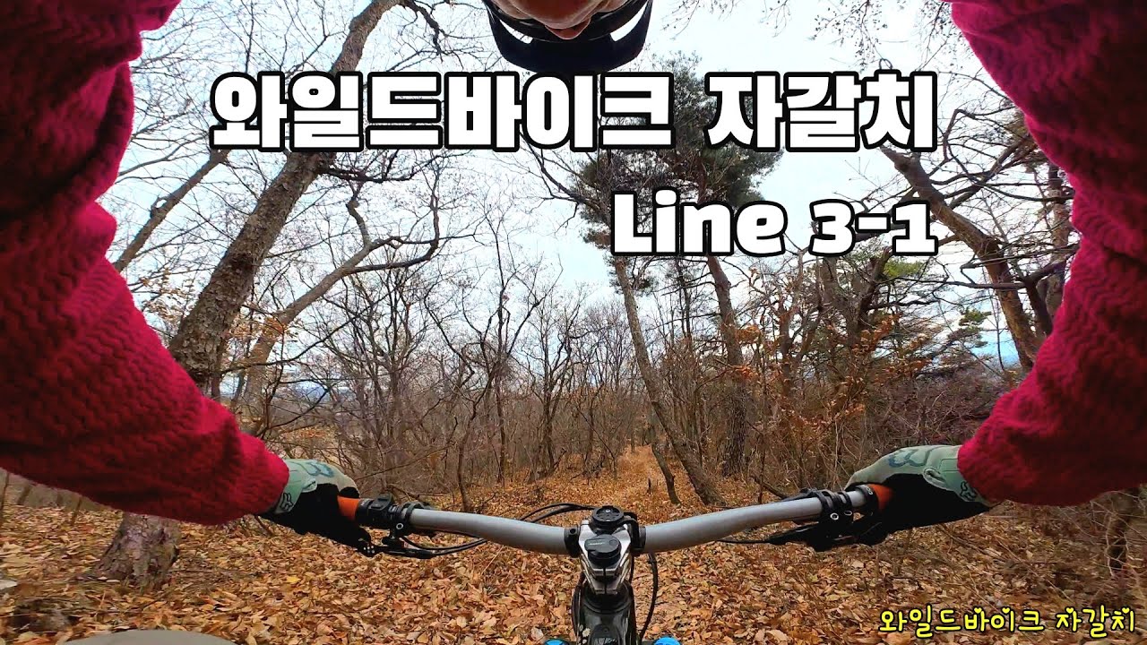 나만 처음 가 본 #라인싱글 #왈바자갈치 Line 3, Line 3-1
