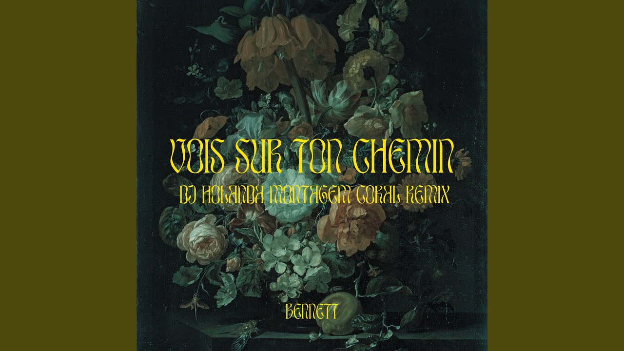 Vois sur ton chemin (DJ Holanda MONTAGEM CORAL Remix)