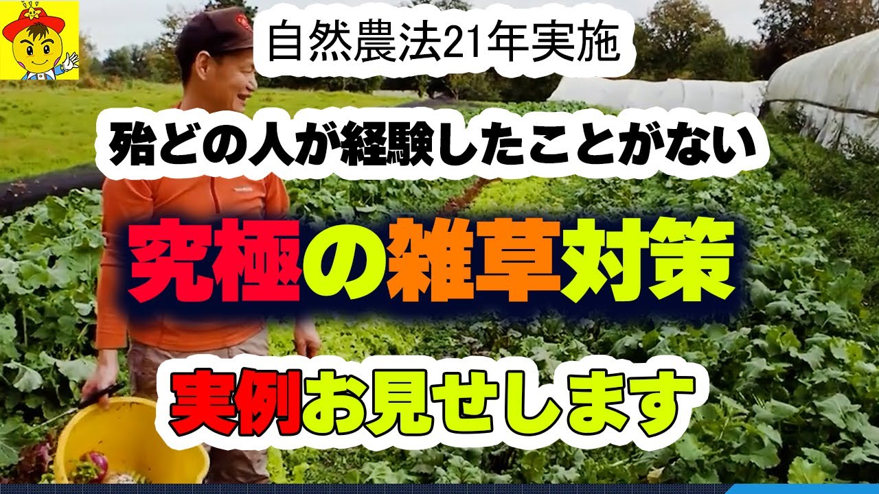 【自然栽培182】究極の雑草対策、実例紹介します！！
