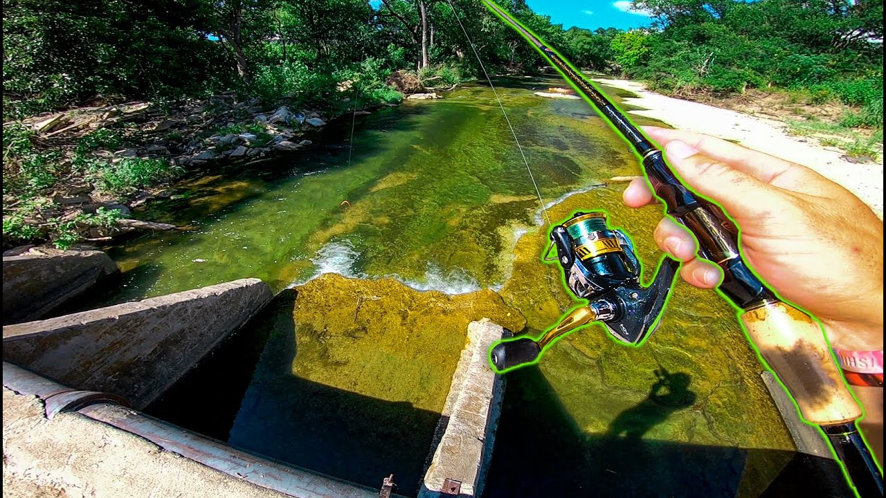 Catching RARE Fish in CRYSTAL CLEAR CREEK + (Googan Baits Rattlin' Ned)