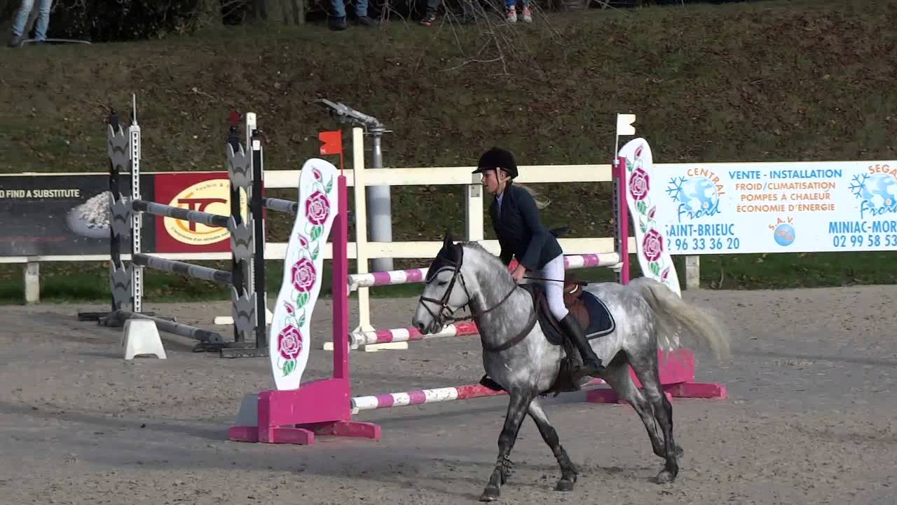 Axelle Borel et VAISKO DES CHENAUX - Prepa 110 CSO Dinard - 22.11.15
