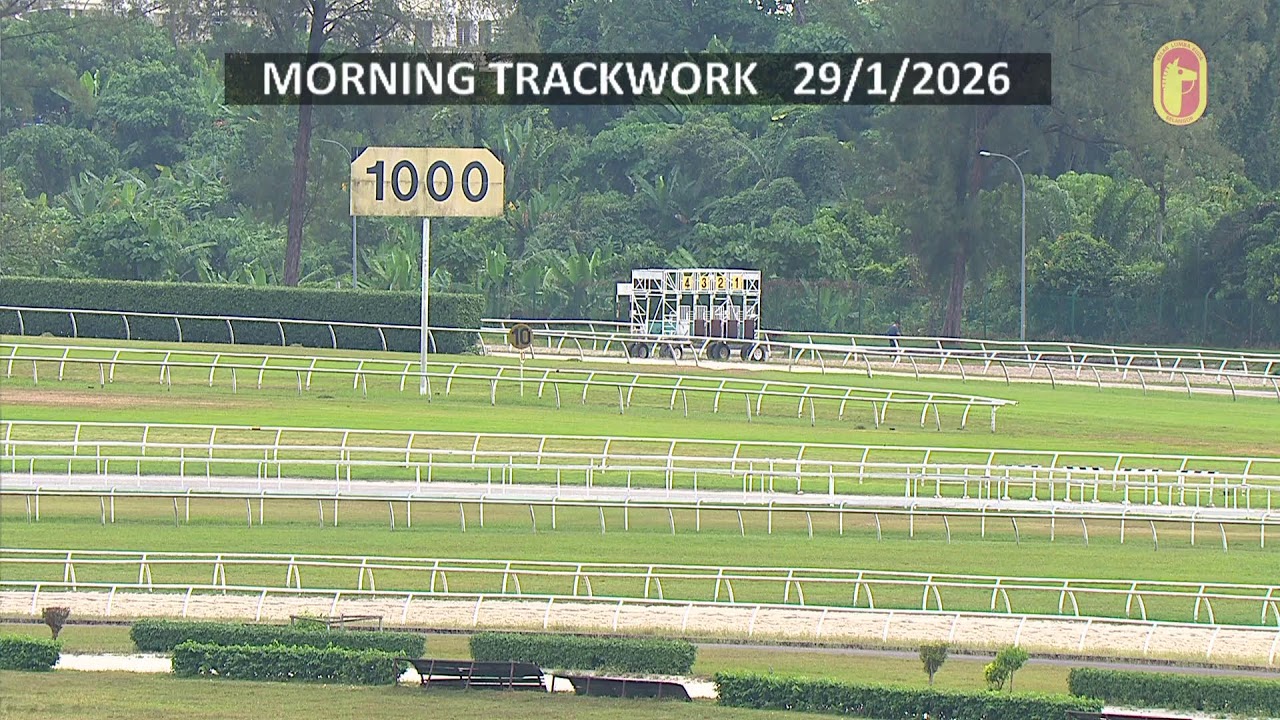 Track Work - Cam 1 (29/01/2026)