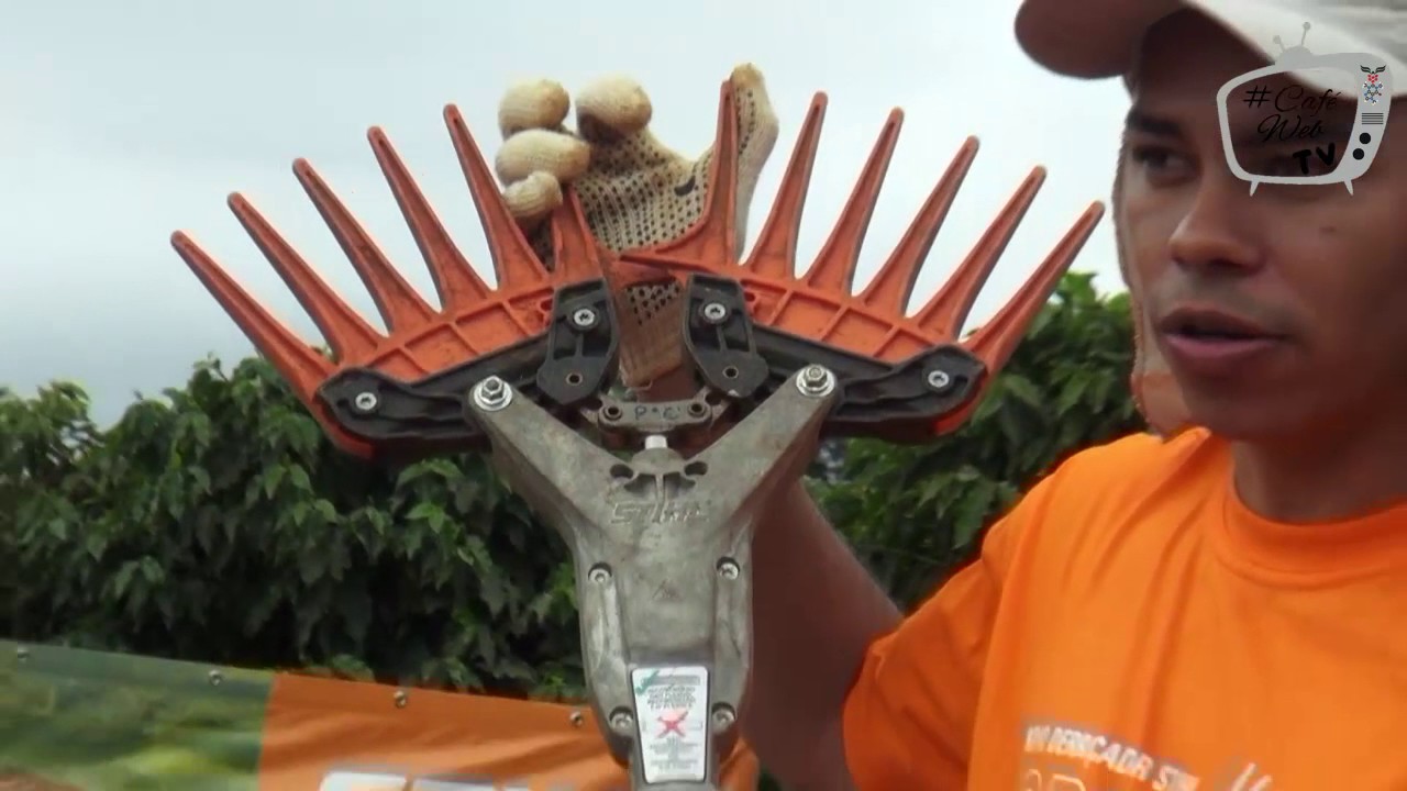 Derriçador de café e ferramenta multifuncional STIHL