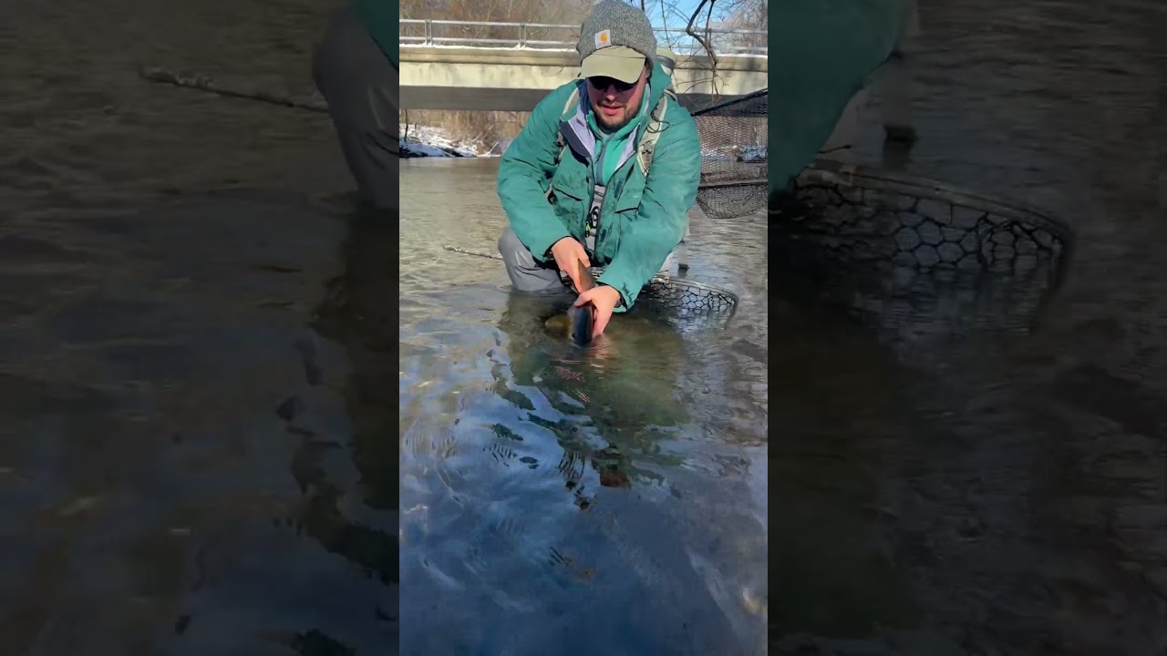 Winter Fly Fishing | Don't Mind The Cold!